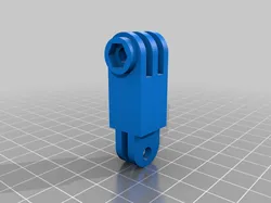 module gopro