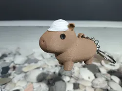 Capybara engineer