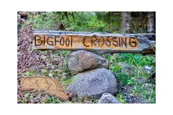 Creality Cloud | Bigfoot footprint | ملفات الطابعة ثلاثية الأبعاد