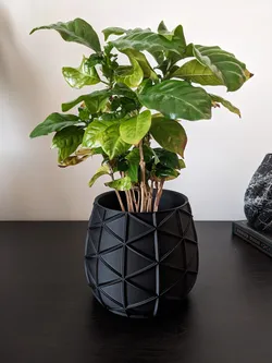 Designer Planter