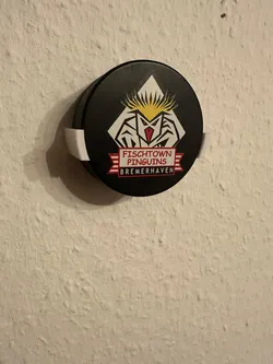Hockey Puck Wall Mount