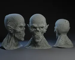Nosferatu Skull with Deteriorating Flesh