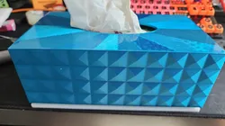 Tissue Box 200mm Tissues
