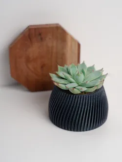 IKEA Succulent Planter