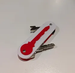 Key organizer