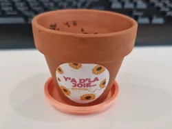 Mini Desk Plant Saucer