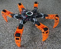 Project Leptan: Lepta v1.0