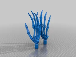 Skeleton Hands