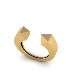 683 Ring 3D Print Model in Rings 557830