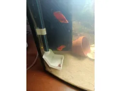 aquarium food tube