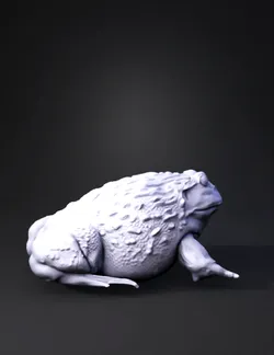 green toad with bumpy wart like texture yellow green skin side view