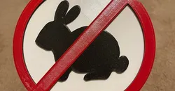 No rabbits allowed