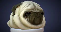 Pug bust 3d sculpt - high res and low poly