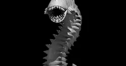 Purple Worm Updated