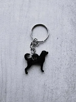 Rottweiler keychain 3D Print Model in Keychains 557793