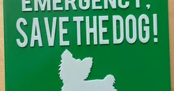 Sign "Save the dogs"