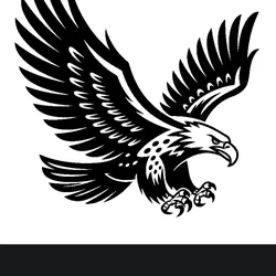 hawk