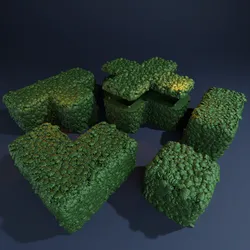 Hedges and Tunnels