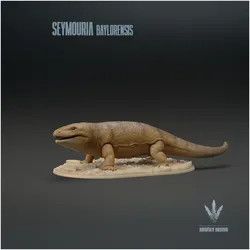 Seymouria baylorensis   : The Primitive Reptile