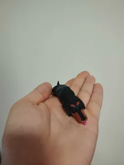 Flexi Dachshund