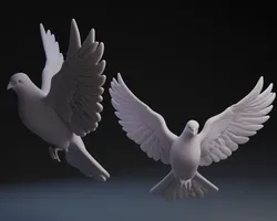 Nativity Dove
