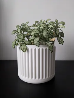 Slotted Planter