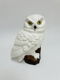 Snowy Owl (Hedwig) with flat bottom