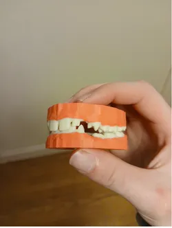 teeth