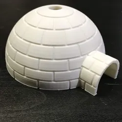 Igloo
