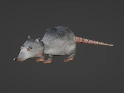 Rat Movie Rat