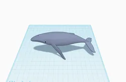 Whale