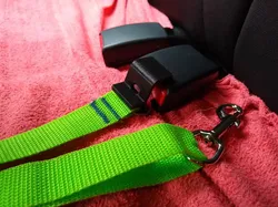 Fișiere pentru imprimante 3D | Fișier 3MF | Câine centura de siguranță Button Garda