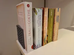 THE BOOK HOLDER