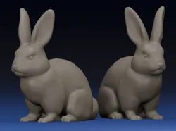 Bunny Rabbit