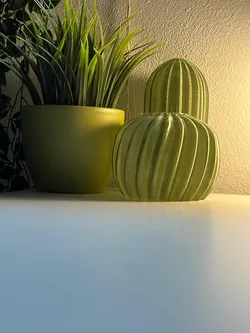Cactus Combo