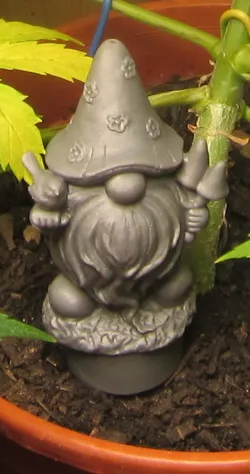 Gnom Birdkeeper