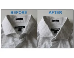 Collar Stays