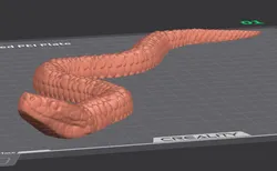 Curious Snake