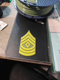 US Army First Sergeant/E-8 Rank