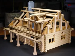 Big Log House