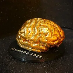 Brain Trophy - To the smartest
