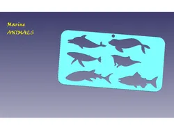 Marine Animals