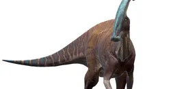 Parasaurolophus