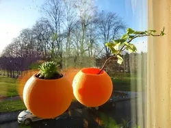 Spherical Window Micro Planter