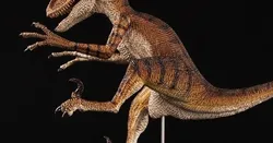 Velociraptor