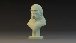 Ape Heads Peking Man cavemen Cavemen 3d printing sculptural models