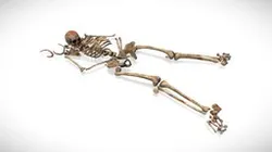 Bones Remains Skeleton Laying corpse