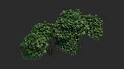 Cartoon Small Tree Bush Grass Bush plant ancient woods