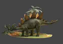 Dinosaurs stegosaurs Kennosaurs herbivores ancient creatures Jurassic period