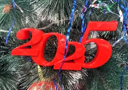 2025 Christmas Decoration